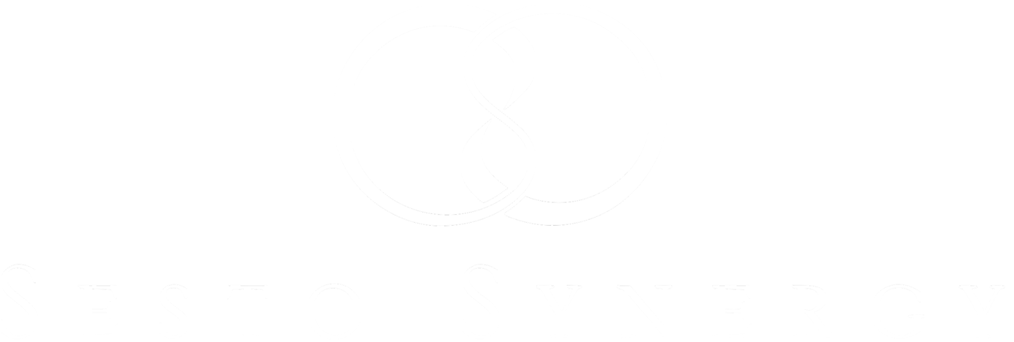Sesto Synergy
